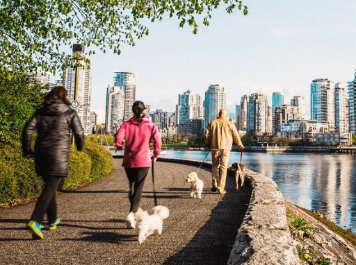 The Vancouver Lifestyle Embracing Balance, Wellness, and Adventure